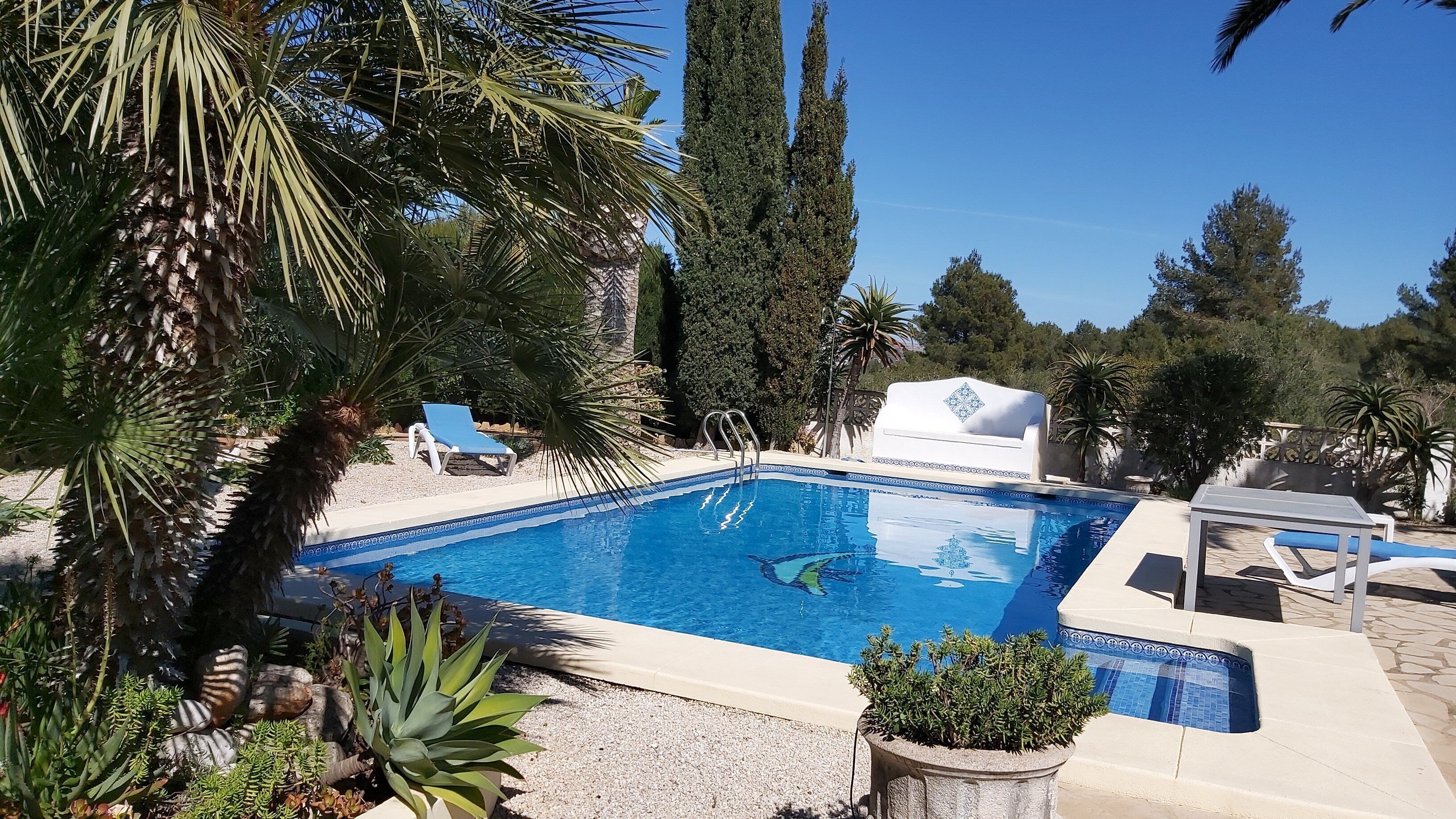A swimming pool with a clear blue water, surrounded by palm trees and other greenery.