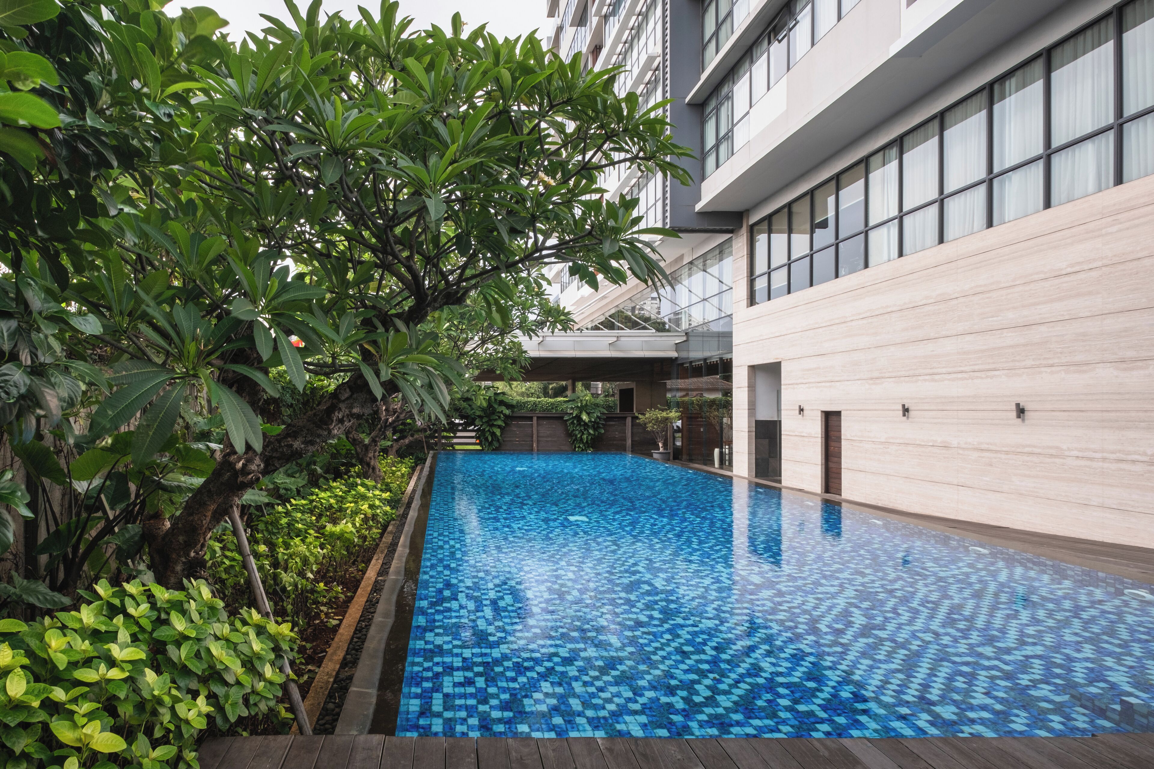 outdoor pool, pool loungers