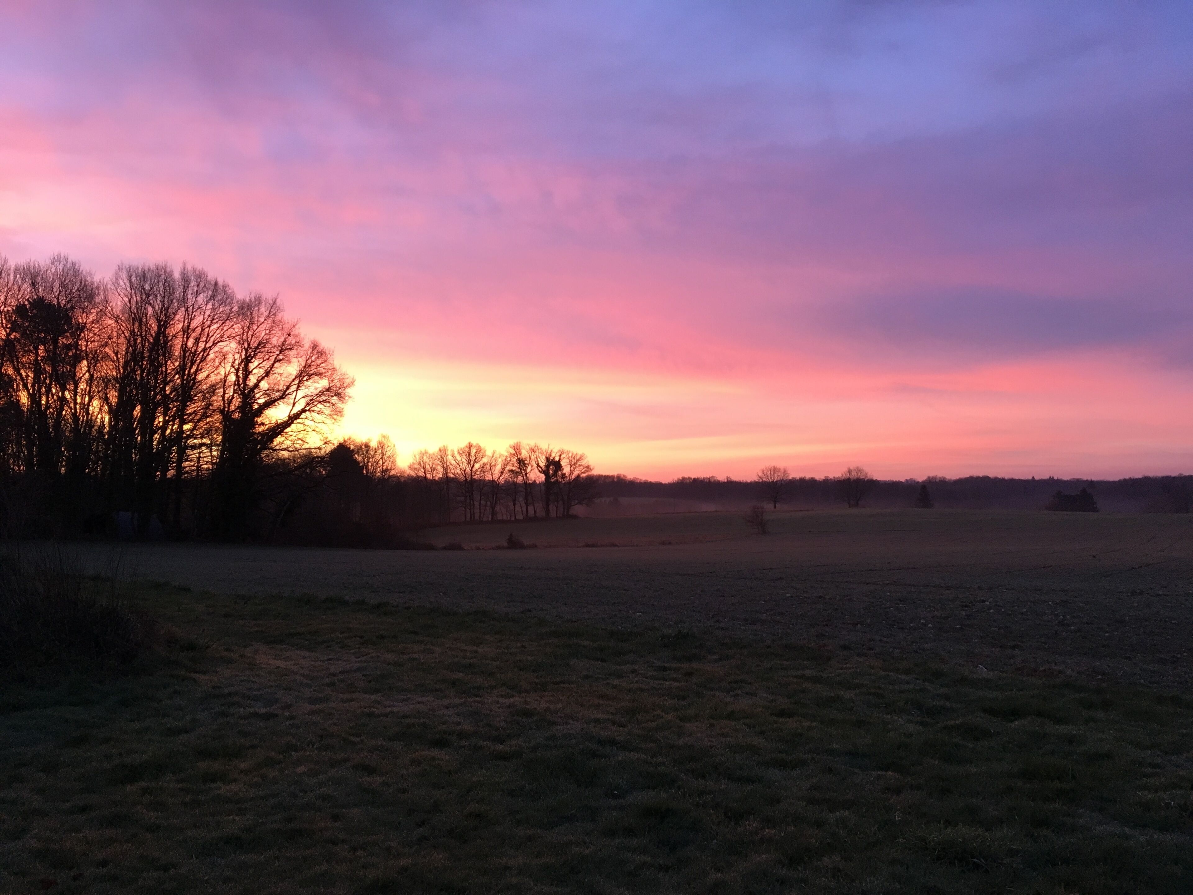 A flat landscape with a field and trees in the foreground and a sunset in the background.