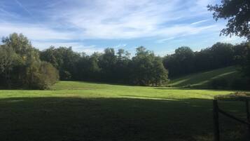 A grassy field with trees and a clear sky.