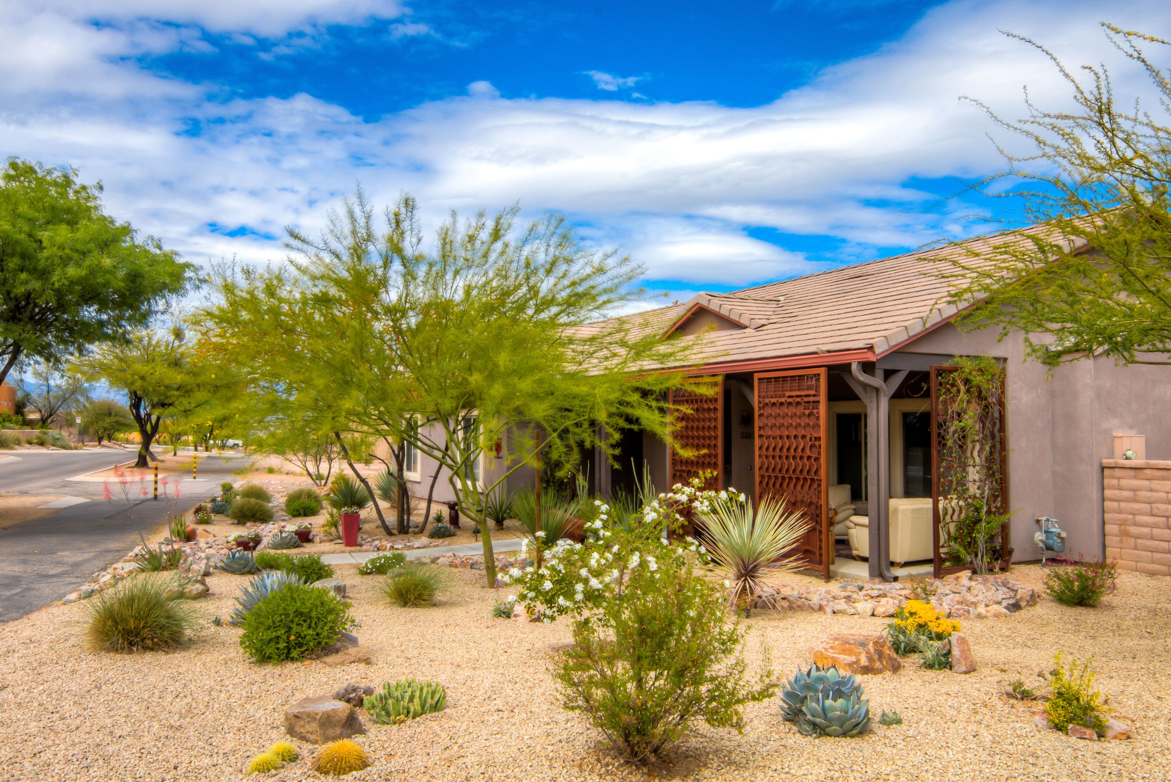 Civano  Home Near Saguaro National Park