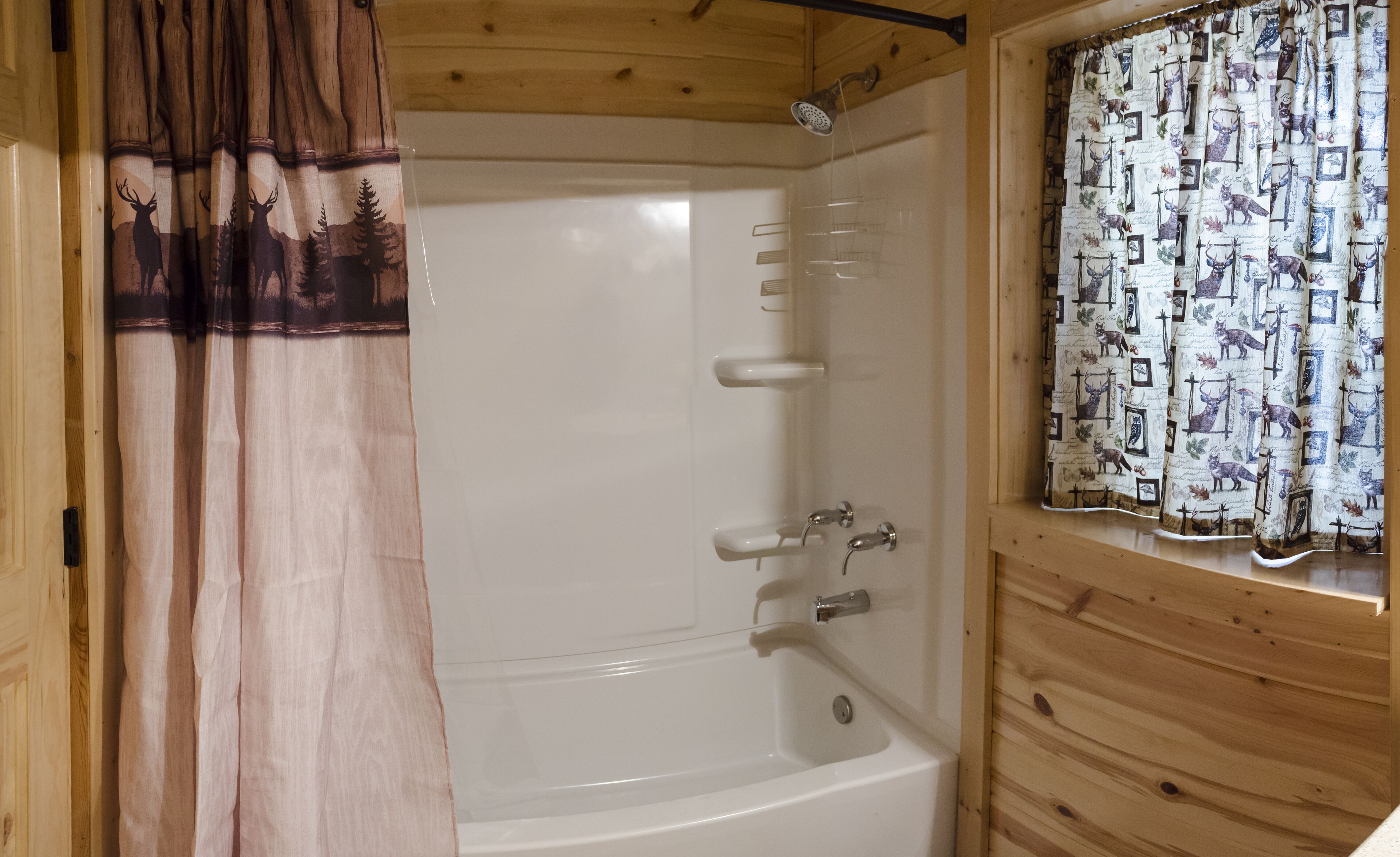 Douche, serviettes fournies