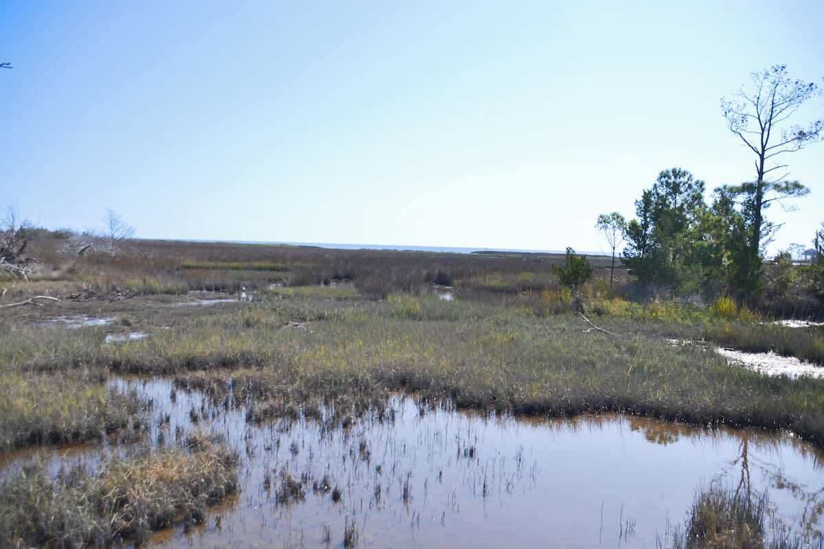 A natural landscape with a body of water, sparse vegetation, and a clear sky.