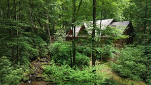 A cabin surrounded by dense forest with a stream flowing through.