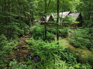 En hytte omgivet af tæt skov med en å, der løber igennem.