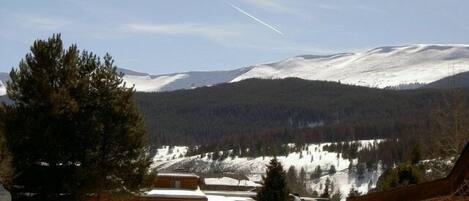 Une cabane dont le toit est recouvert de neige, entourée d’arbres et avec une chaîne de montagnes en arrière-plan.