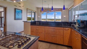 Private kitchen - Award Winning Ocean Front Architectural Gem 
[Home Share per VA Beach Zoning] (Virginia Beach)