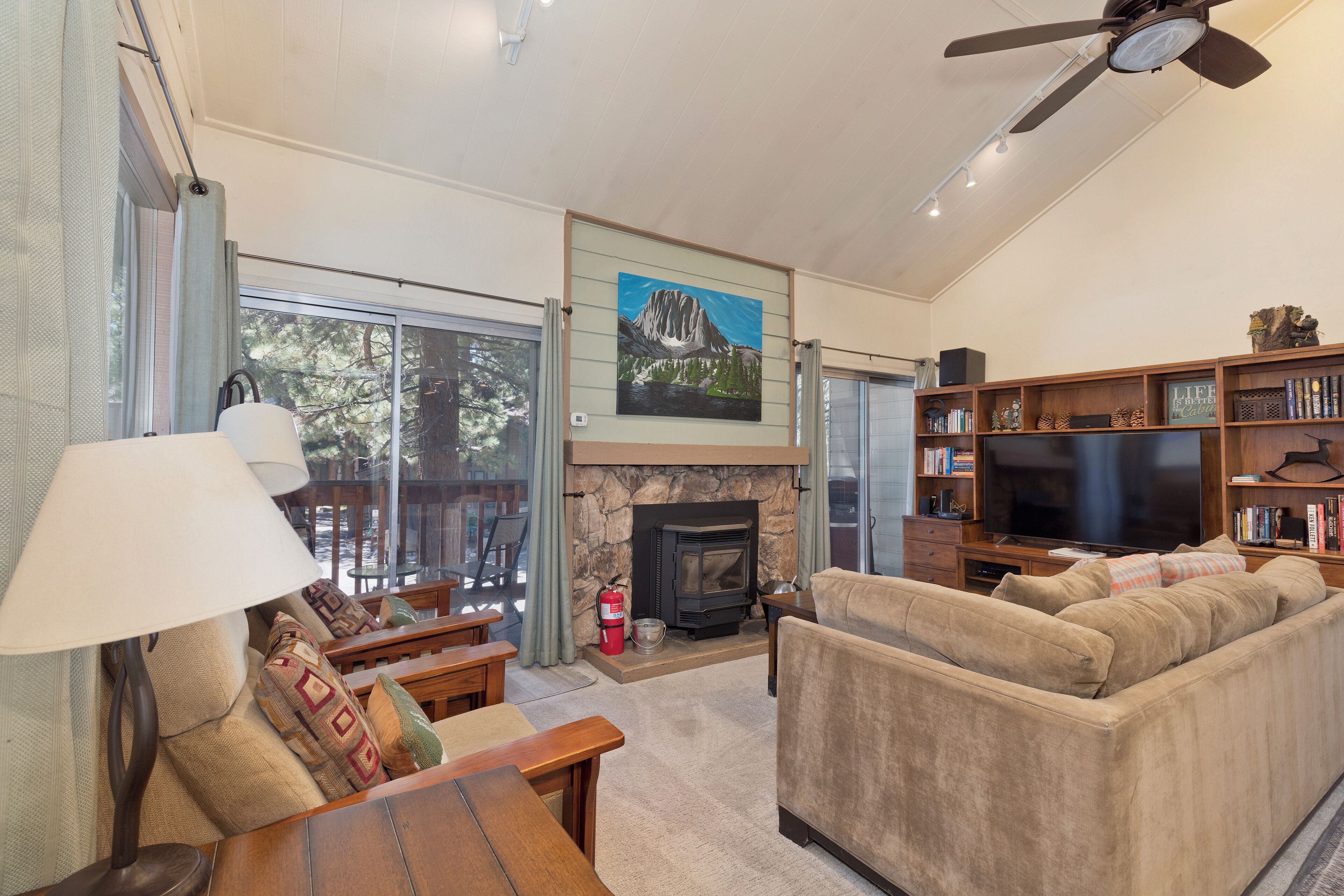 Smart TV, fireplace, books, stereo