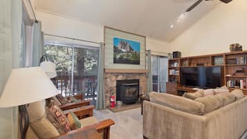 Smart TV, fireplace, books, stereo