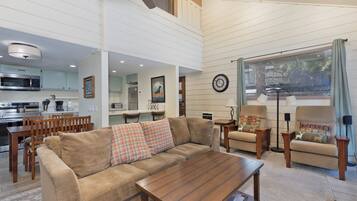 TV connectée, cheminée, livres, chaßne hi-fi