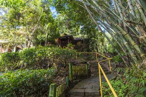 Vue depuis lâhĂ©bergement