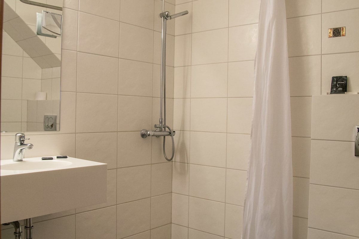 shower, free toiletries, hair dryer, towels