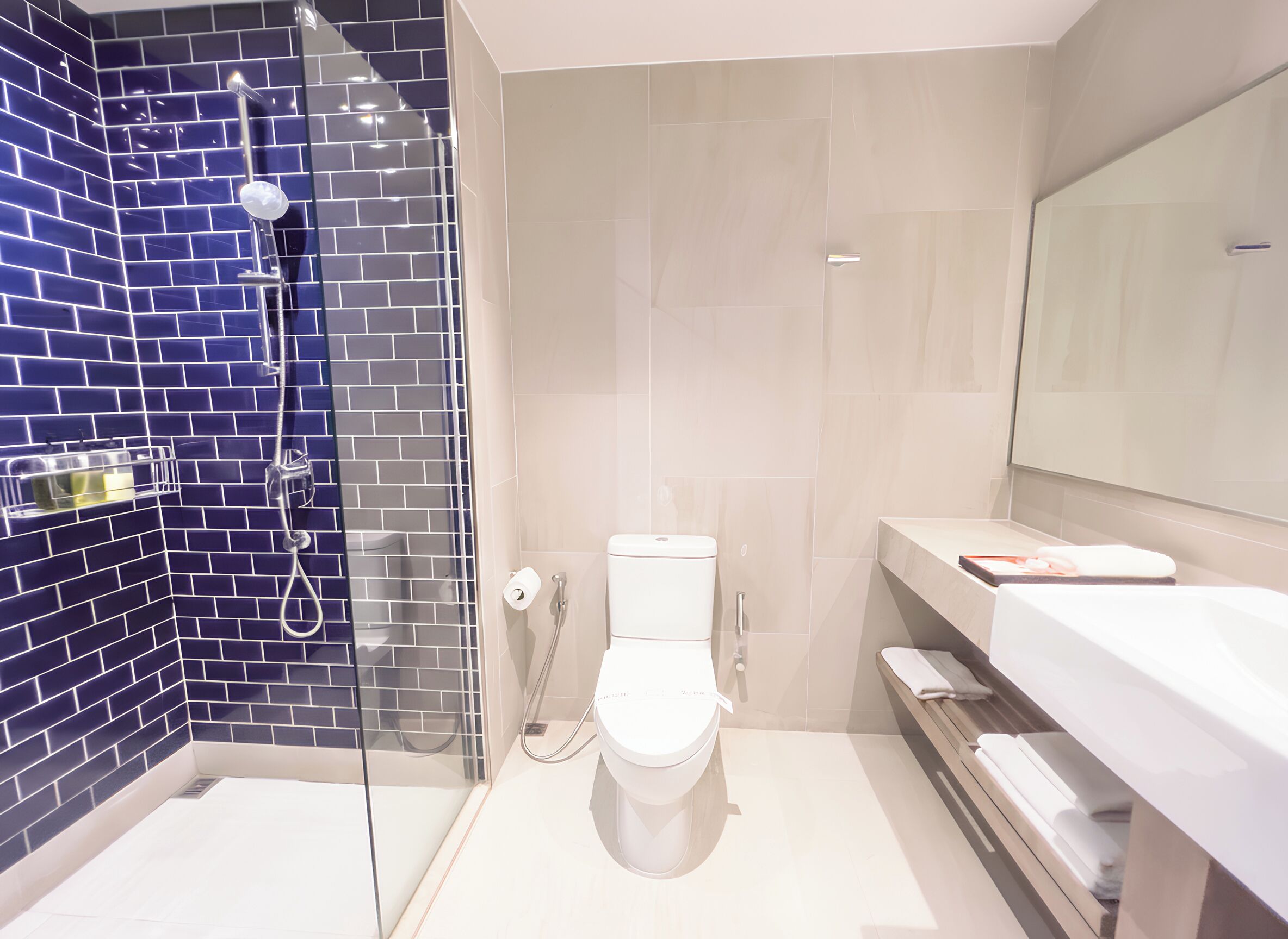 A bathroom with a glass-enclosed shower, a white toilet, and a large mirror above the sink.
