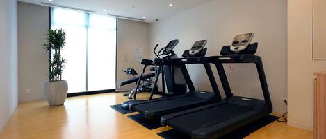 A gym with treadmills, a large potted plant, and wooden flooring.