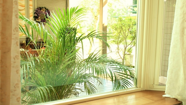 A room with a large window overlooking a garden. - Yishingarden B&B (Shoufeng)