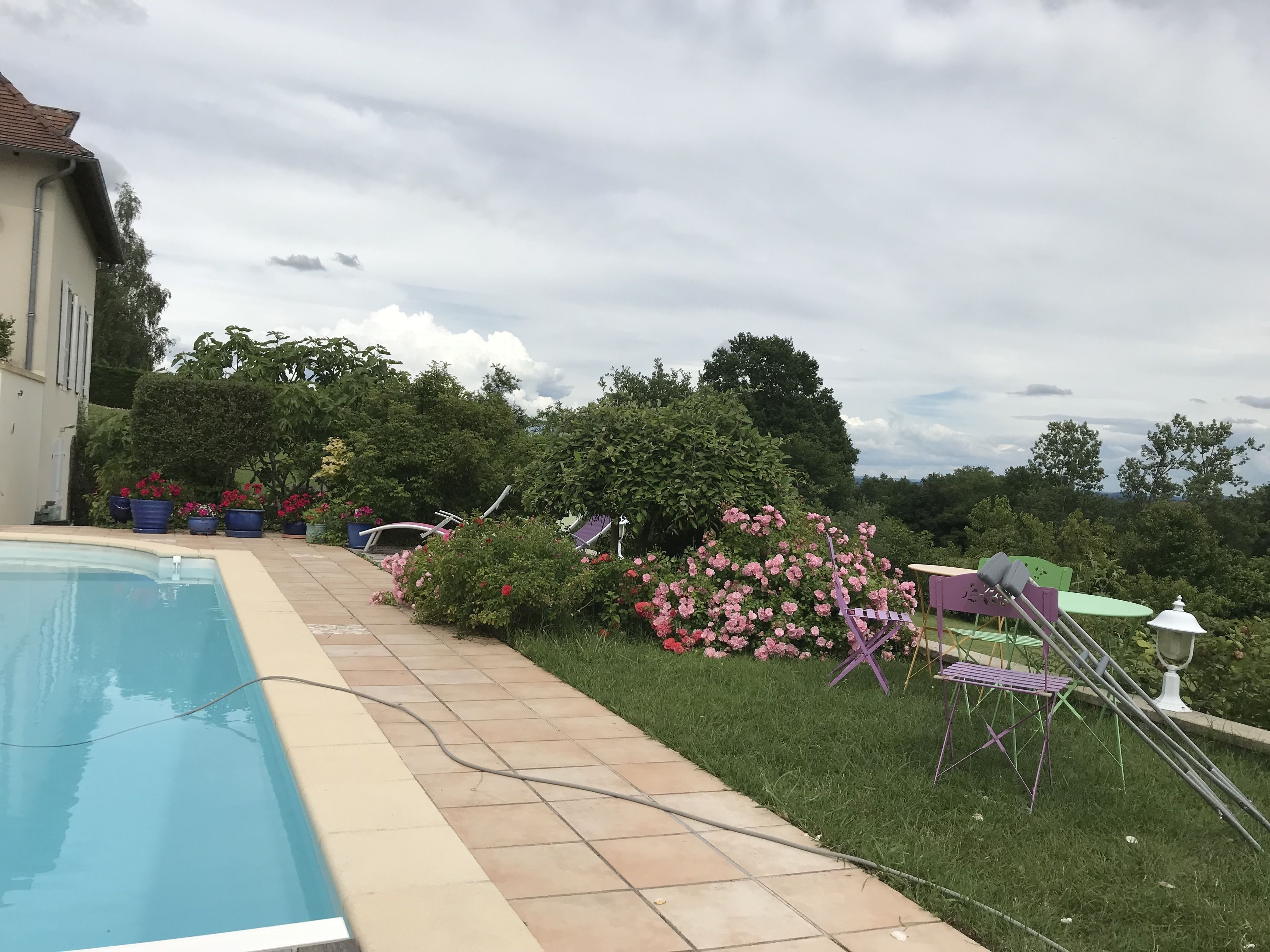 Ein Schwimmbecken mit gefliestem Rand, umgeben von Kübelpflanzen und einer Rasenfläche mit Gartenmöbeln.