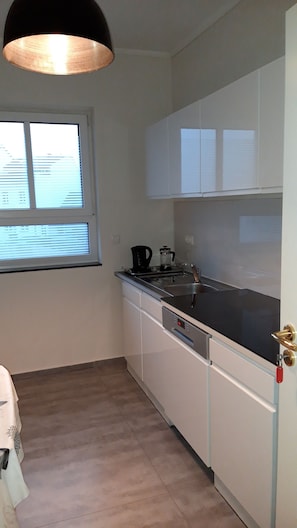 Full-sized fridge, oven, stovetop, rice cooker