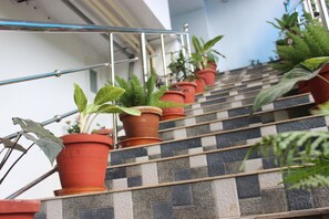 Lobby - Tree Blanche Munnar (Devikolam)