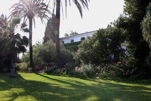 Design Room, Garden Area | View from room