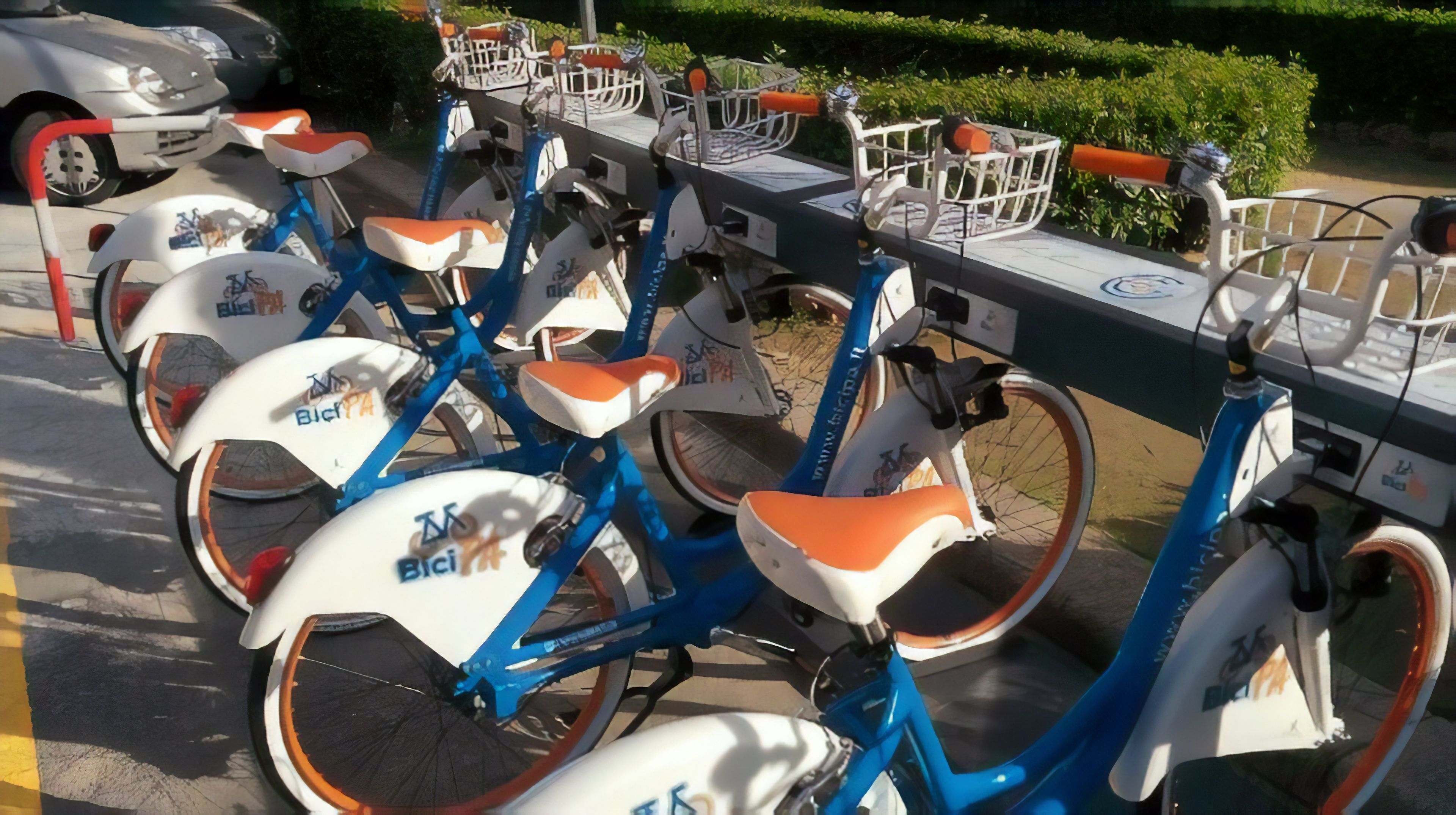 Photo - Artisan Maison Palermo