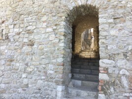 A stone staircase leading to an arched doorway, surrounded by rough stone walls.