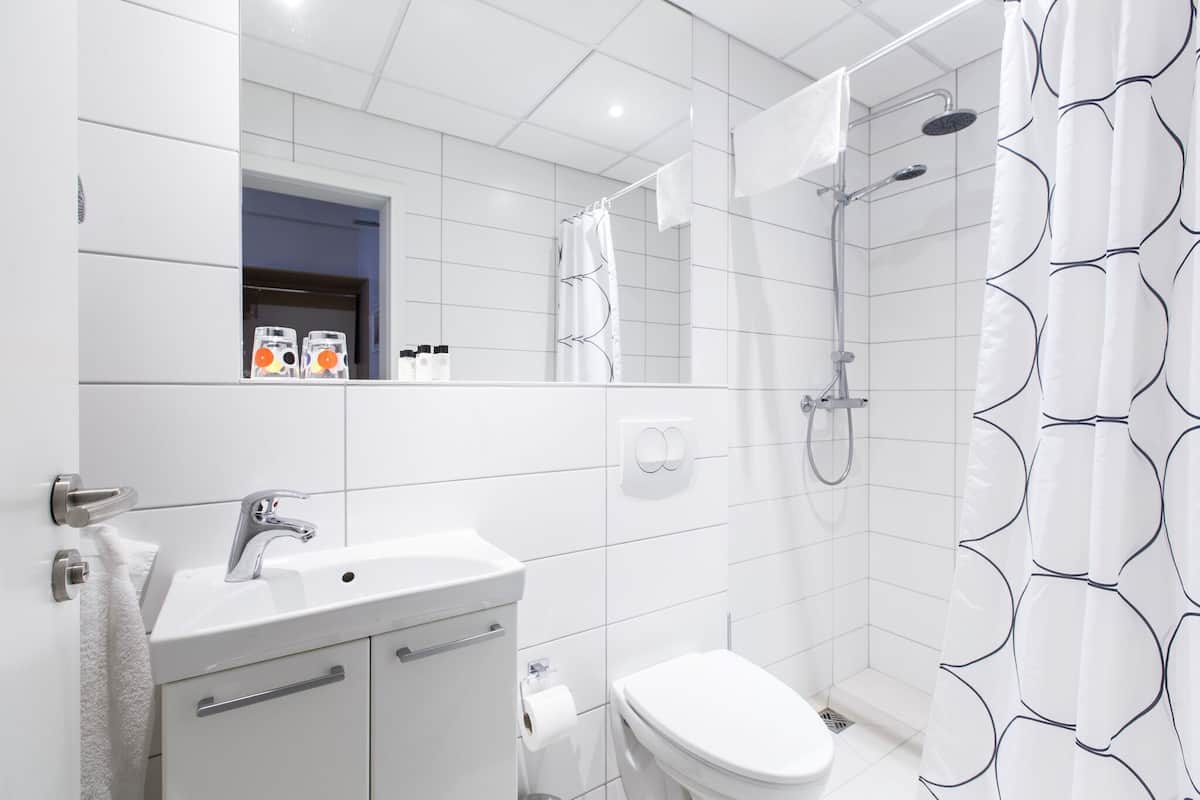 hair dryer, towels, soap, shampoo