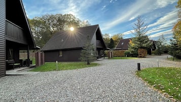 A gravel driveway leading to a row of log cabins with a clear sky above.