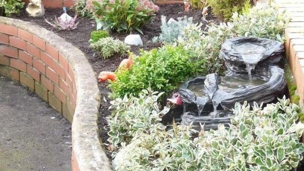 Un jardín con borde de ladrillo, diversas plantas y un pequeño elemento acuático.