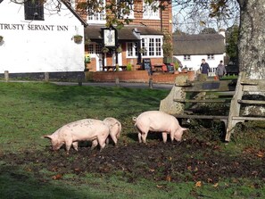 A white building with a sign reading "TRUSTY SERVANT INN" and a thatched-roof structure in the background. - The Trusty Servant  (Lyndhurst)