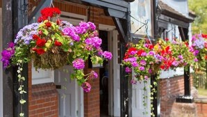 Un edificio tradicional adornado con macetas colgantes de flores.