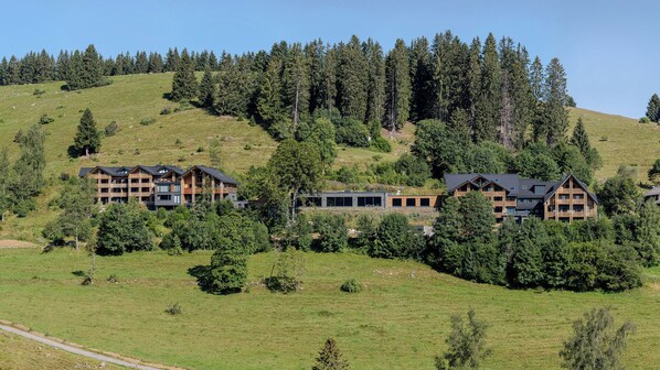 A hillside lodge with multiple wooden buildings, surrounded by dense forest and a clear sky. - Black Forest Lodge (Feldberg)