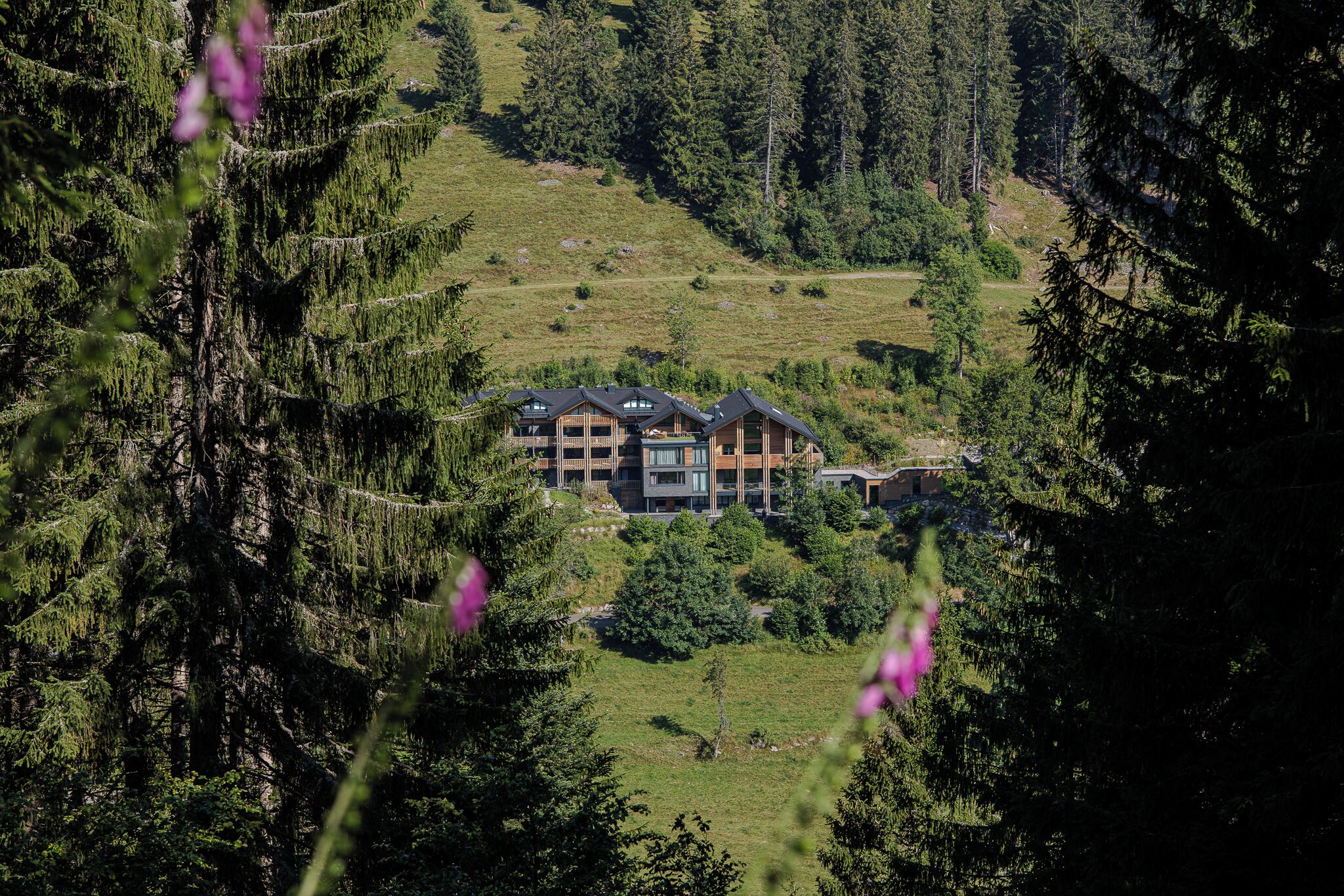 Un edificio moderno de varios pisos con fachada simétrica, rodeado por un bosque denso y una ladera cubierta de hierba.