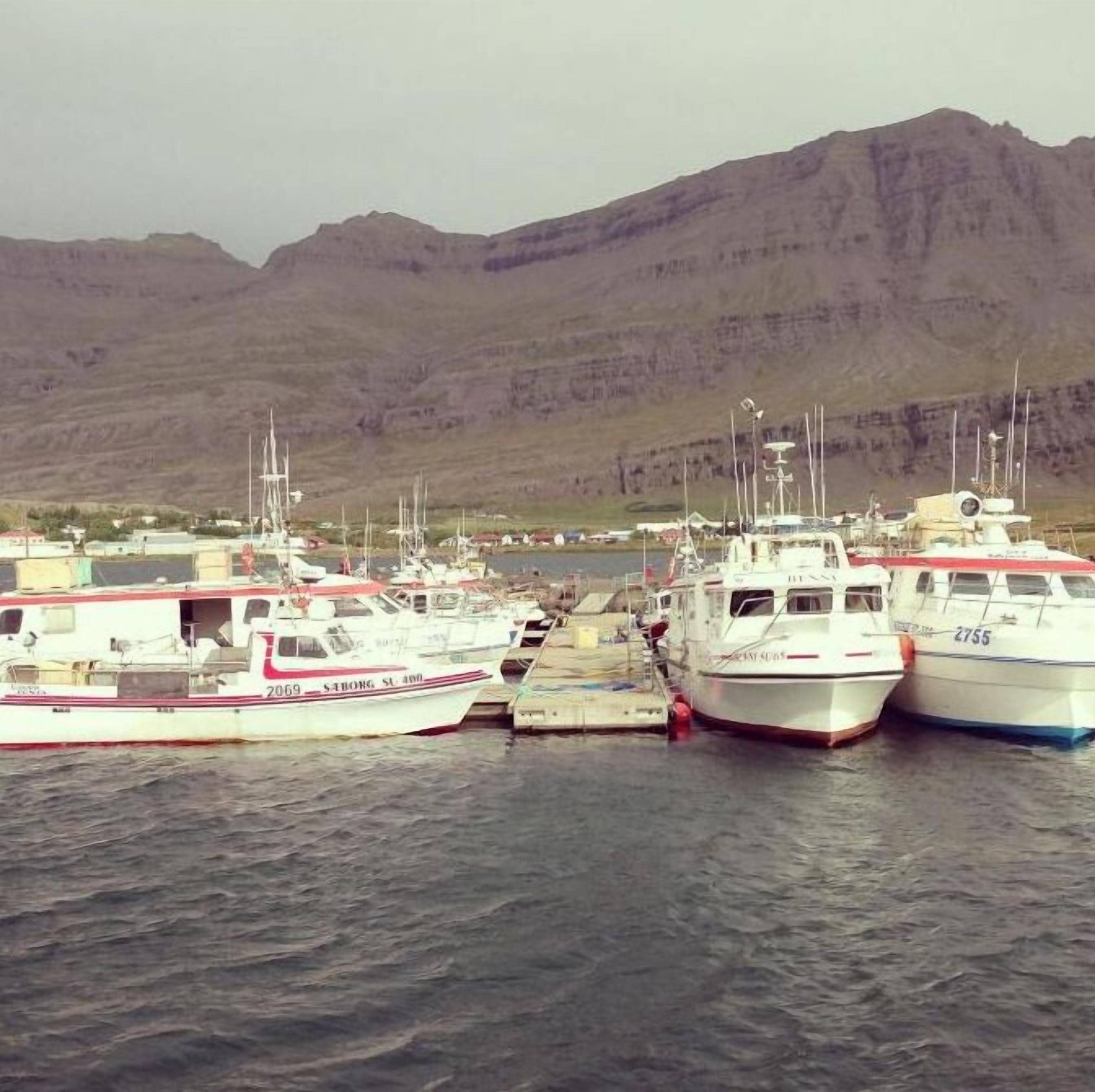 A marina with several boats docked, a pier, and a mountainous backdrop.