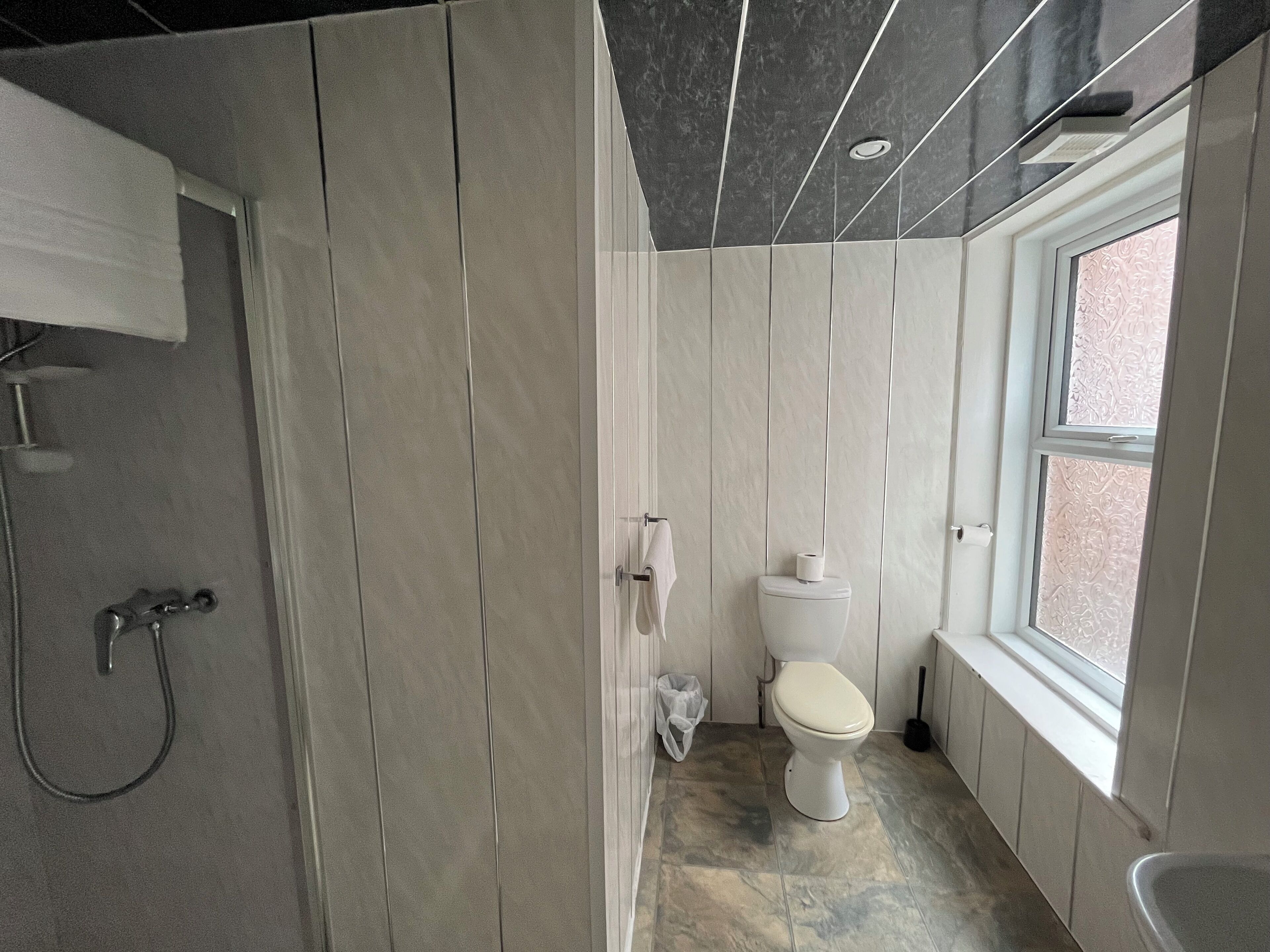 A bathroom with a toilet, shower, and window.