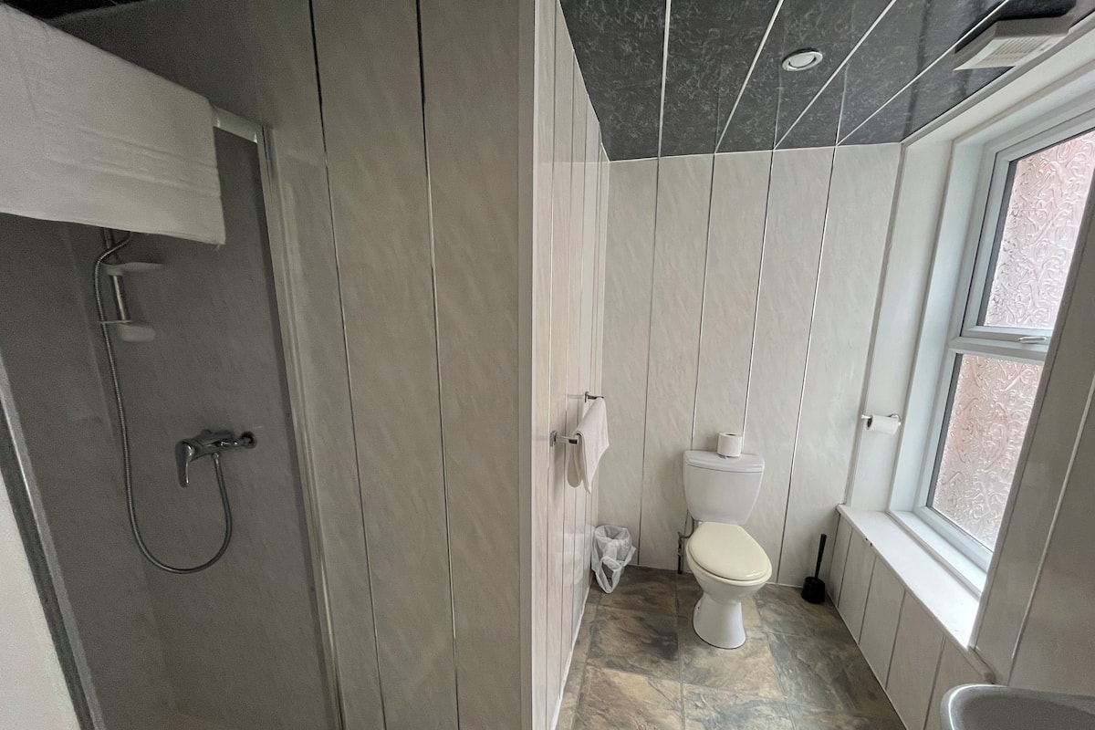 Une salle de bain avec douche, toilettes et lavabo.