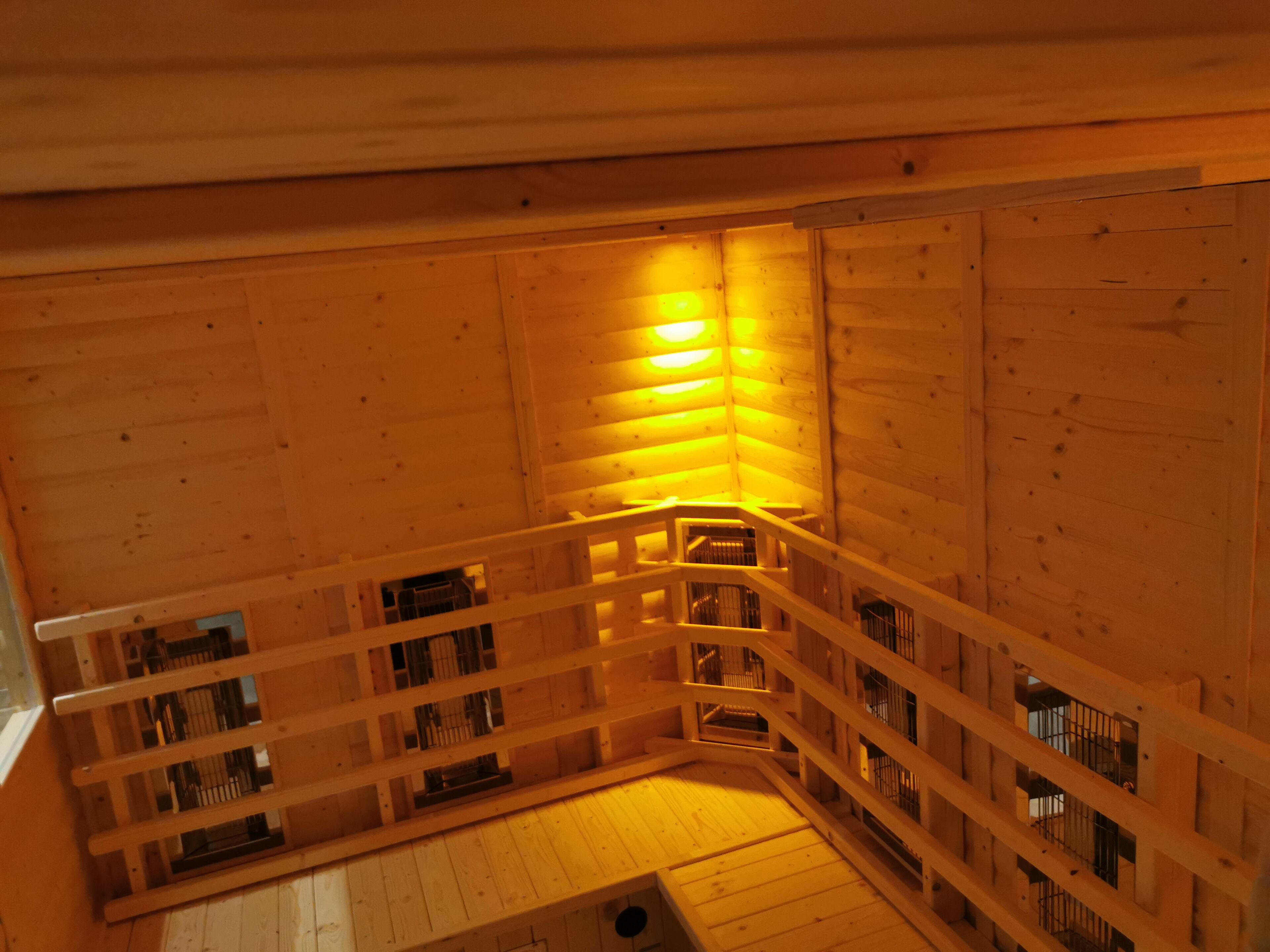 sauna