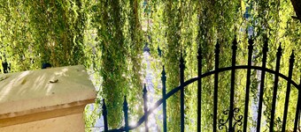 Europa Pension zum grünen Baum