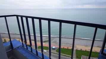 Departamento, 1 habitación | Vista desde la habitación