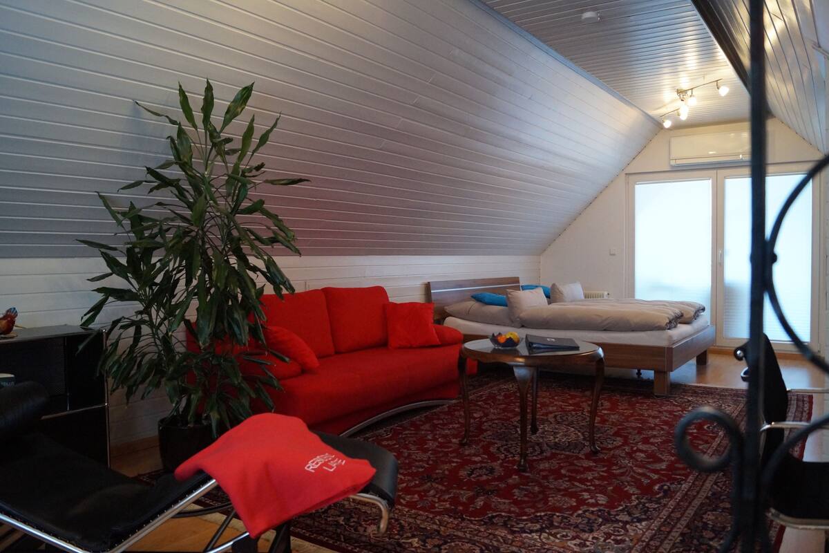 A cozy living room with a red sofa, a large plant, and a red rug.