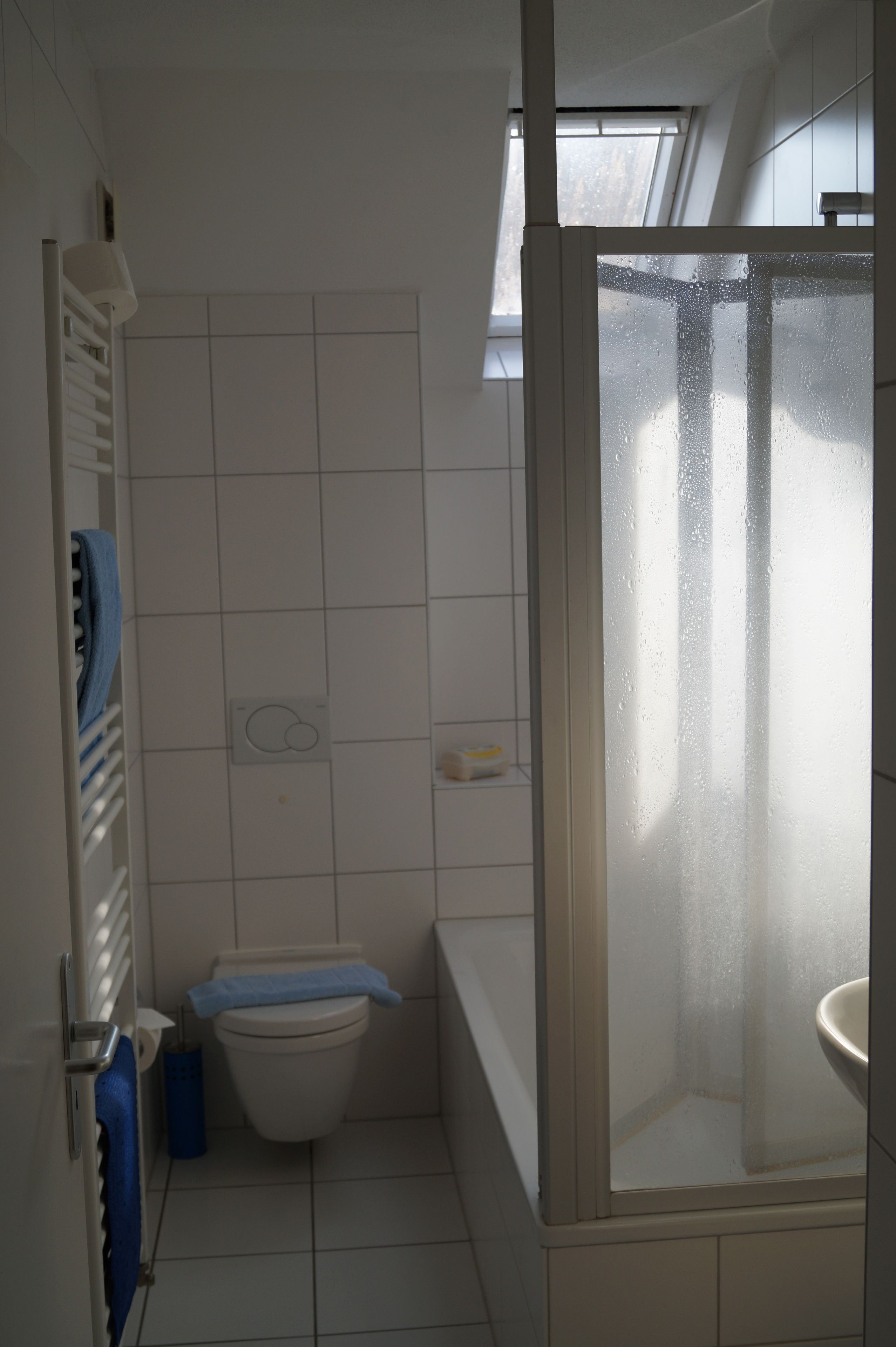 A bathroom with a toilet, a shower enclosure, and a window.