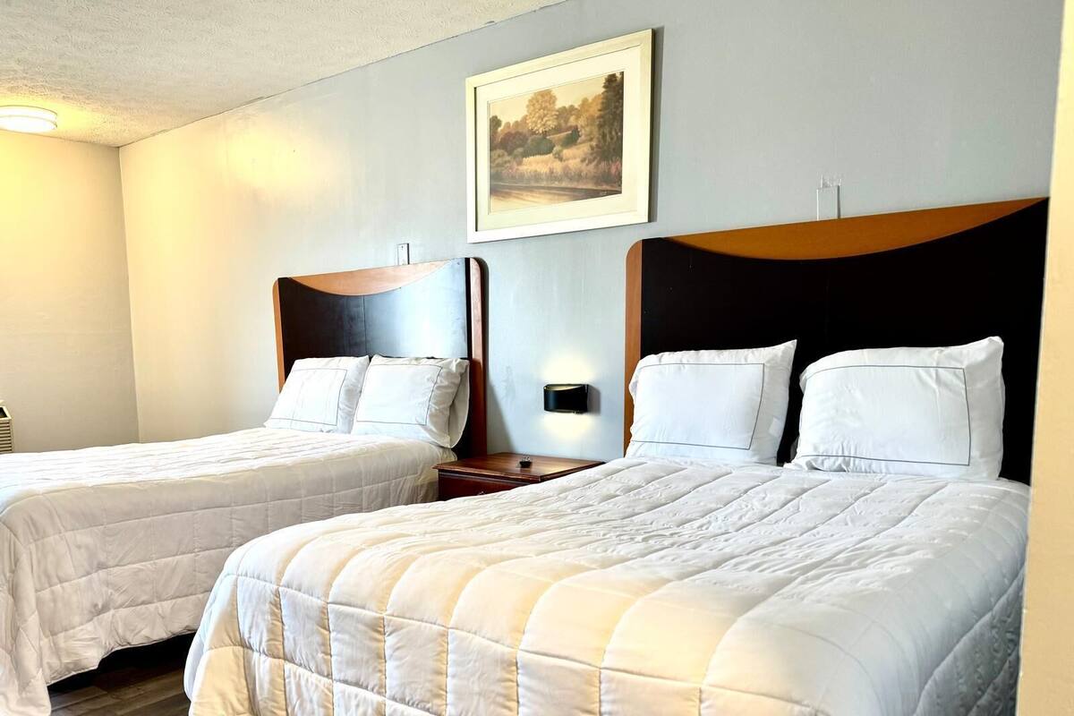 Quarto de hotel com duas camas, um quadro na parede e uma mesa de cabeceira com abajur.