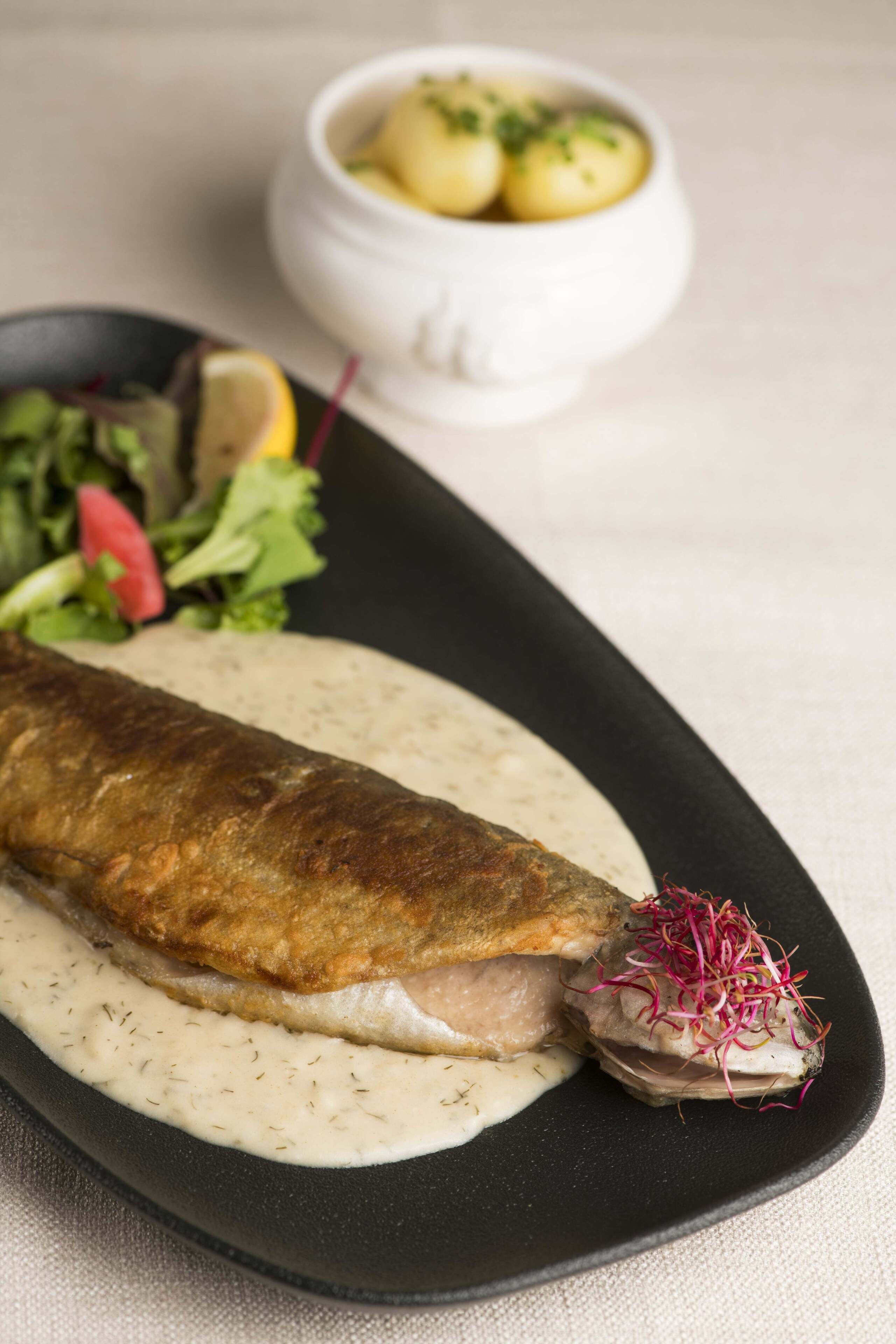 lunch and dinner served, local cuisine