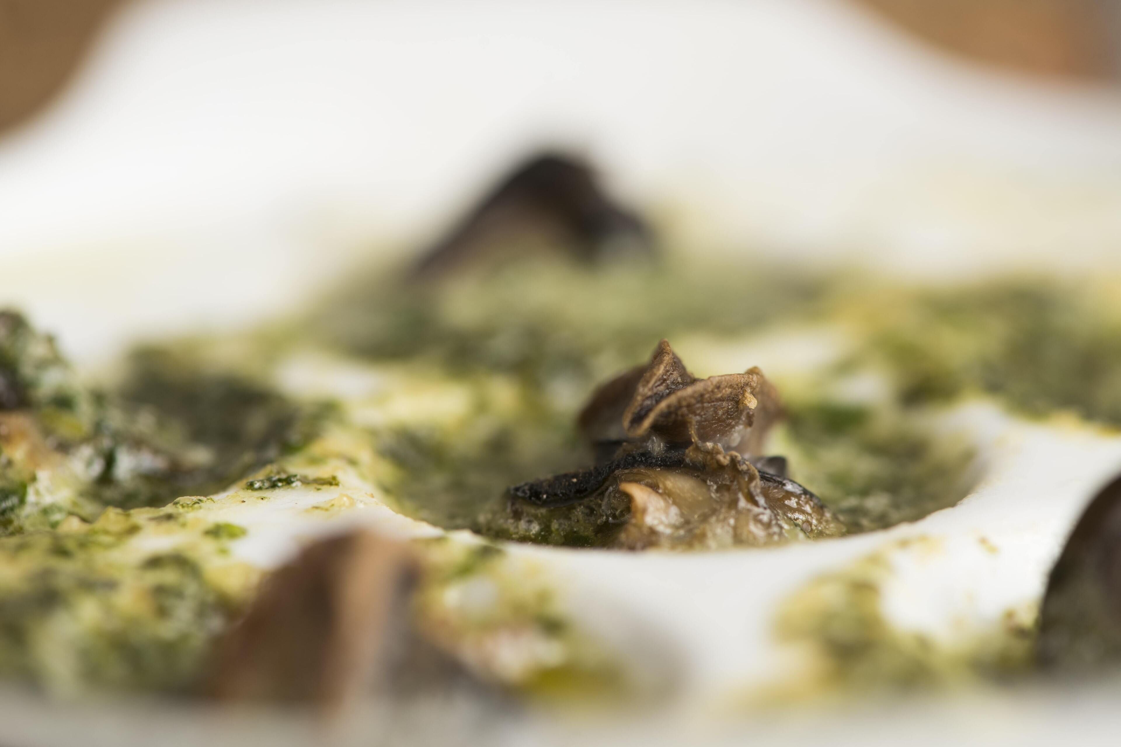 Une vue rapprochée d’un plat nappé d’une sauce crémeuse et garni d’herbes vertes.