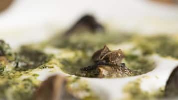 Une vue rapprochée d’un plat nappé d’une sauce crémeuse et garni d’herbes vertes.