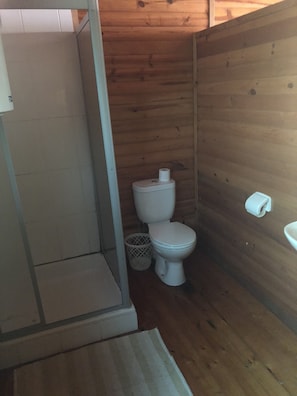 Habitación estándar doble | Baño | Ducha y toallas