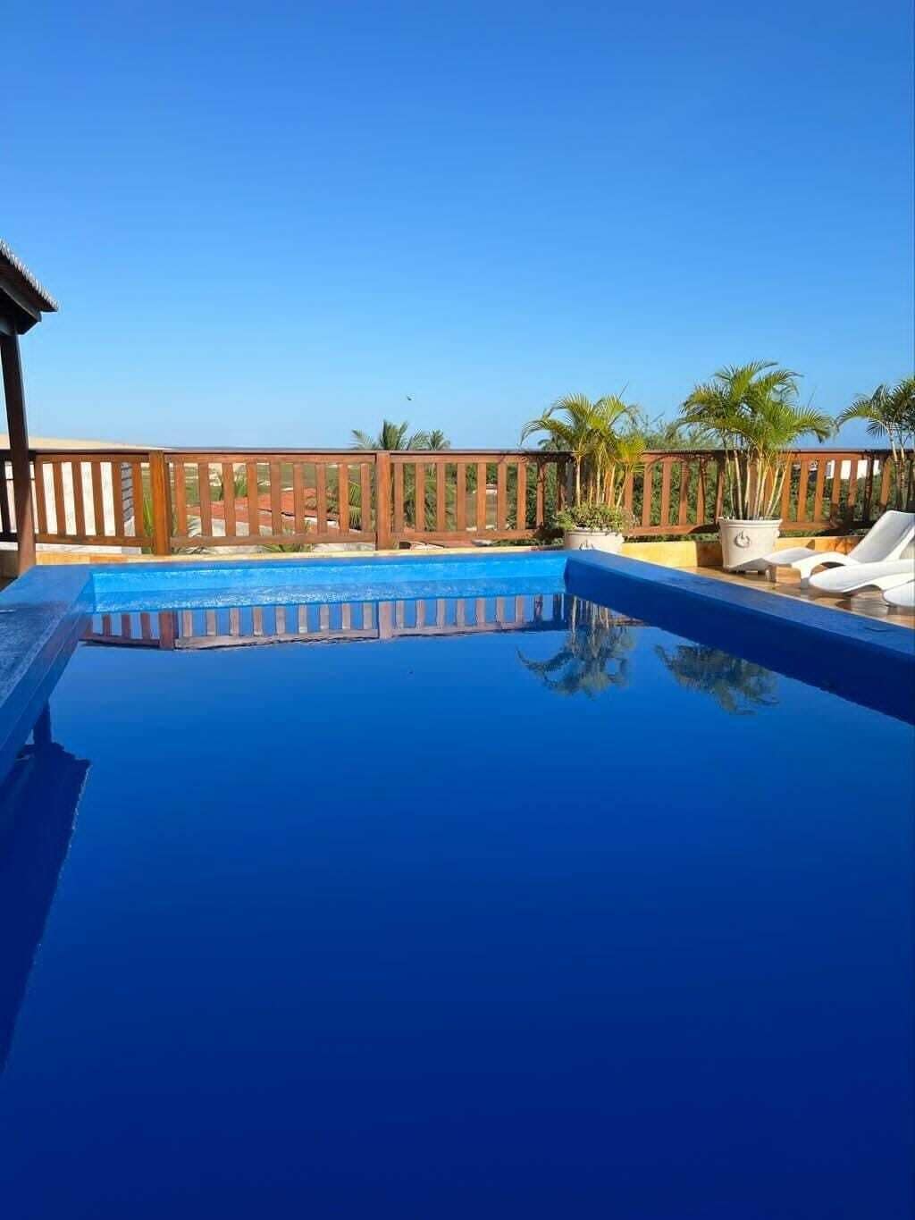 A clear blue swimming pool with a wooden fence, palm trees, and lounge chairs.