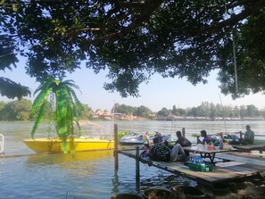 55-inch Smart TV with cable channels, TV, first-run films