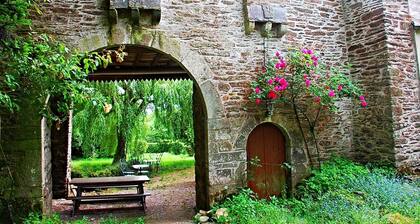 The Archeologist Home-Chateau Le Mur