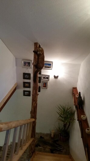 Interior - Ferienhaus Zum Jägerstübchen (Bad Honnef)