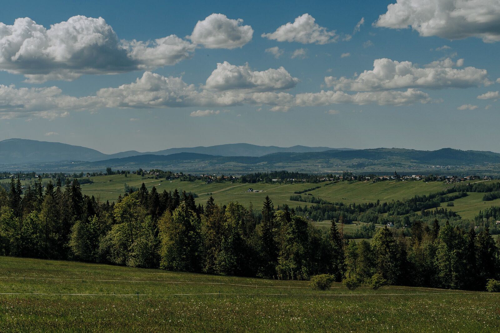 A panoramic view of a hilly landscape with a town in the valley, surrounded by forests and fields.